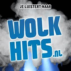 wolk hits logo