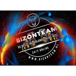 Radio Bizon Team - Darp