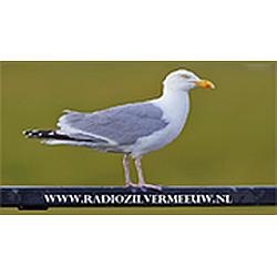 Radio Zilvermeeuw
