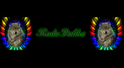 Radiodalika