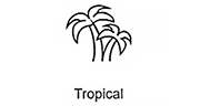 Tropical - Радио Рекорд logo