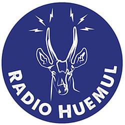 Radio Huemul logo
