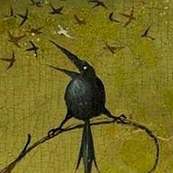 Radio Mirlo -  canción urgente