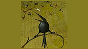 Radio Mirlo -  canción urgente logo
