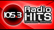 Radio Hits