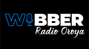 WIBBER WIBBER logo