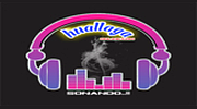 huallagaonline.com