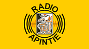 Apintie Suriname - Powered by Bombelman.com logo