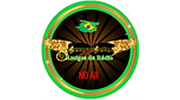 PS Amigos da Rádio