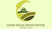 Radio Serra Verde Gospel Radio Serra Verde Gospel logo