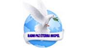 Radio Paz Eterna Gospel Radio Paz Eterna Gospel logo
