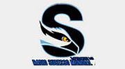 Radio Sucesso Mundial Radio Sucesso Mundial logo
