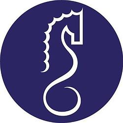 Rádio Santa Cecília