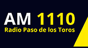 Paso de los Toros logo