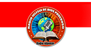 Radio IDP International logo
