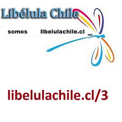Radio LibelulaChile 3