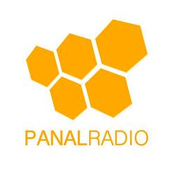 Panal Radio
