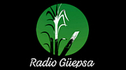 Radio Güepsa