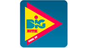 Big Hits Big Hits logo