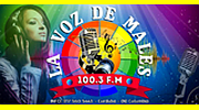 La Voz De Males