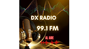 DX Radio 99.1 FM DX Radio 99.1 FM logo