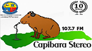 Capibara Stereo logo