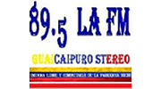 Guaicaipuro Stereo logo