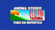 Andina Stereo 91.9FM logo