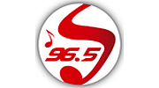 Sentimientos logo