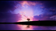 24/7 Deep Sleep Music Relaxing logo