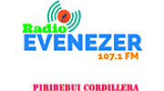 Radio Evenezer FM 107.1 logo