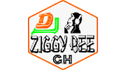 Dj Ziggy Bee pro