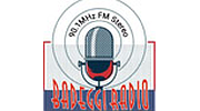 Badeggi Radio 90.1 FM logo