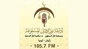 Radio Nour Aleman logo