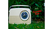 SoundzWel Radio logo