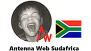 Antenna Web Sudafrica logo