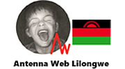 Antenna Web Lilongwe logo