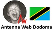 Antenna Web Dodoma Antenna Web Dodoma logo