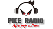 Pice Radio