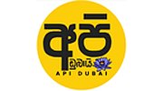 Api Dubai logo