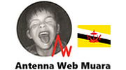 Antenna Web Muara
