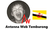 Antenna Web Temburong