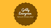 Goldy Evergreen