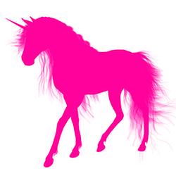 Pink Unicorn Radio