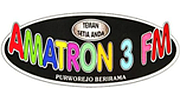Amatron 3 FM