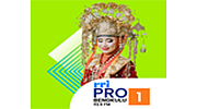 RRI Pro 1 - Bengkulu logo