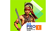 RRI Pro 1 - Nabire RRI Pro 1 - Nabire logo