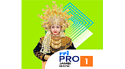 RRI Pro 1 - Jambi logo