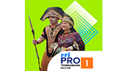 RRI Pro 1 - Teminabuan RRI Pro 1 - Teminabuan logo