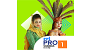 RRI Pro 1 - Sambas RRI Pro 1 - Sambas logo